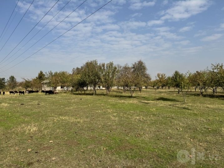 Земля Продается 10 Гектар Ахангаран