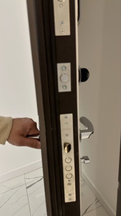 Дверь входная Berserker