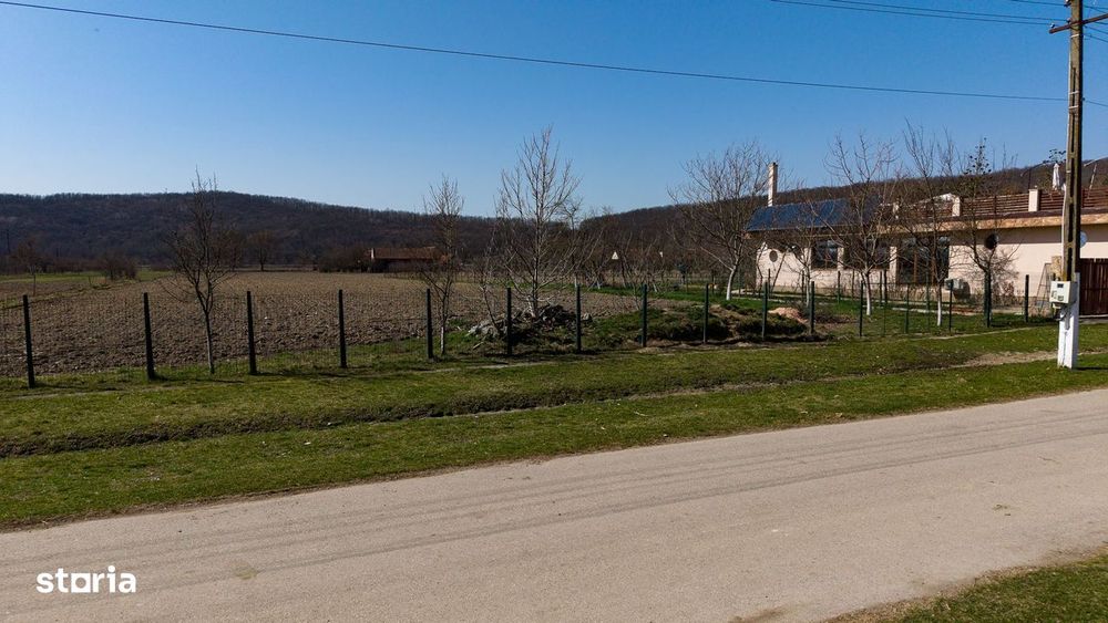 Loc de casă în Odvoș - Conop 3000mp