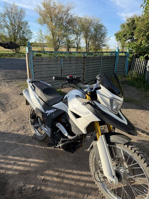 racer ranger 250