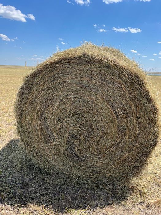 Продам сено свежего покоса