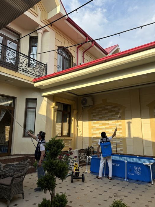 dezinfeksiya дезинфекция