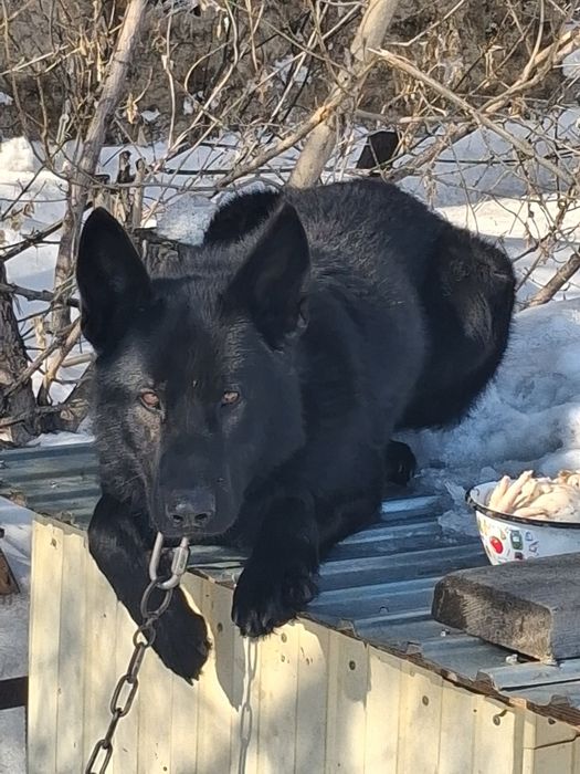 В.е.о.Кабель.Вязка.