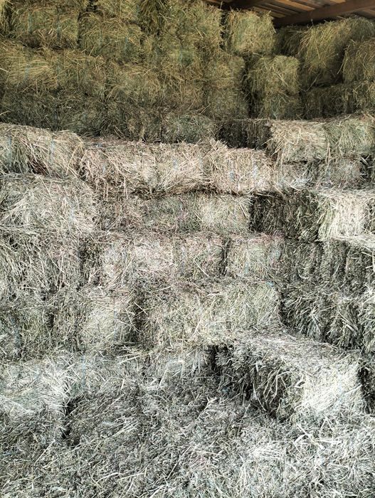 Baloti de lucerna si lucerna cu fin,iarba  și paie de grau