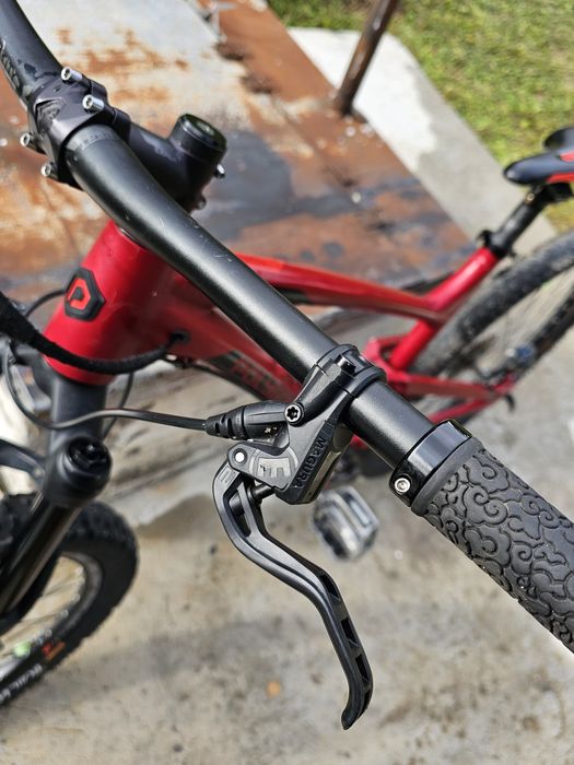 Polygon D5 2021 27'5