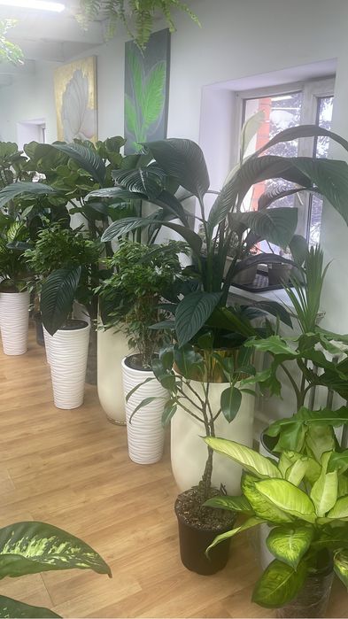 Кашпо с Польши ламела