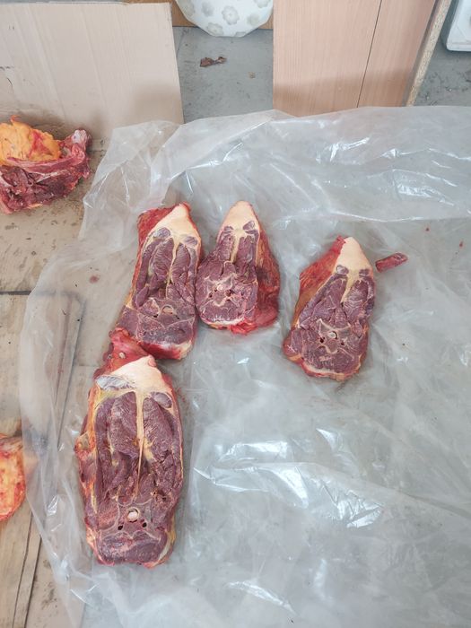 Продаётся   конина    свежая