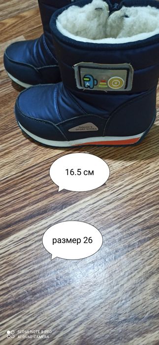 Детские сапоги для мальчика