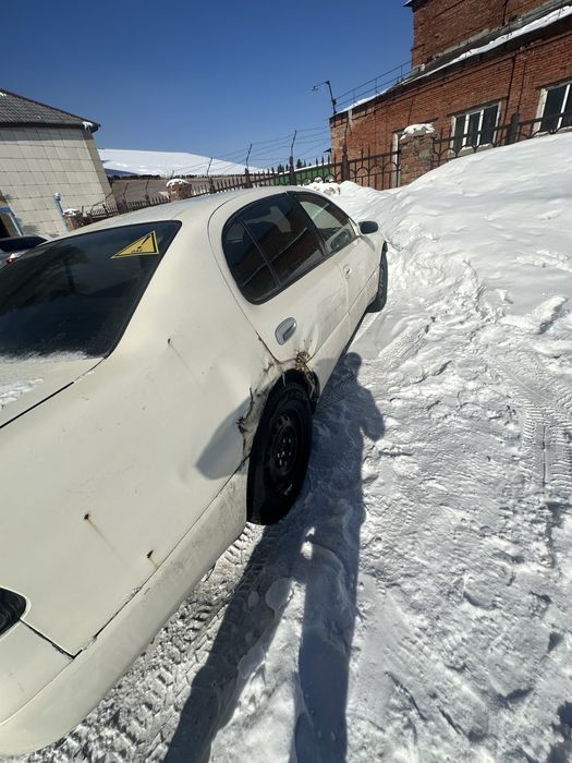 Пртдам. Таета аристо