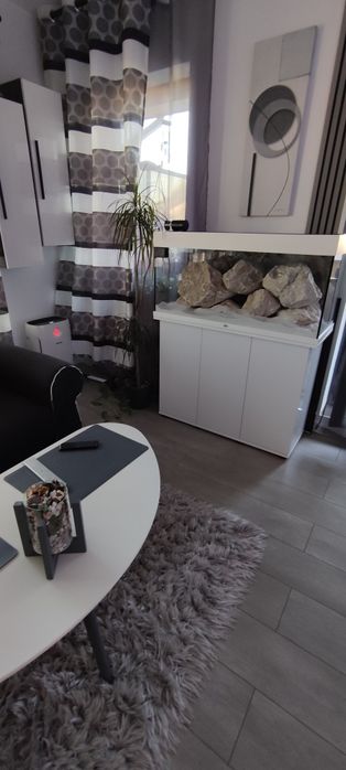 Pietre Acvaristică sau Amenajări