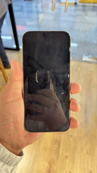 iPhone 16 Pro Max (256 GB)