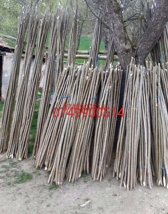 Vând pari de fasole și de rosii