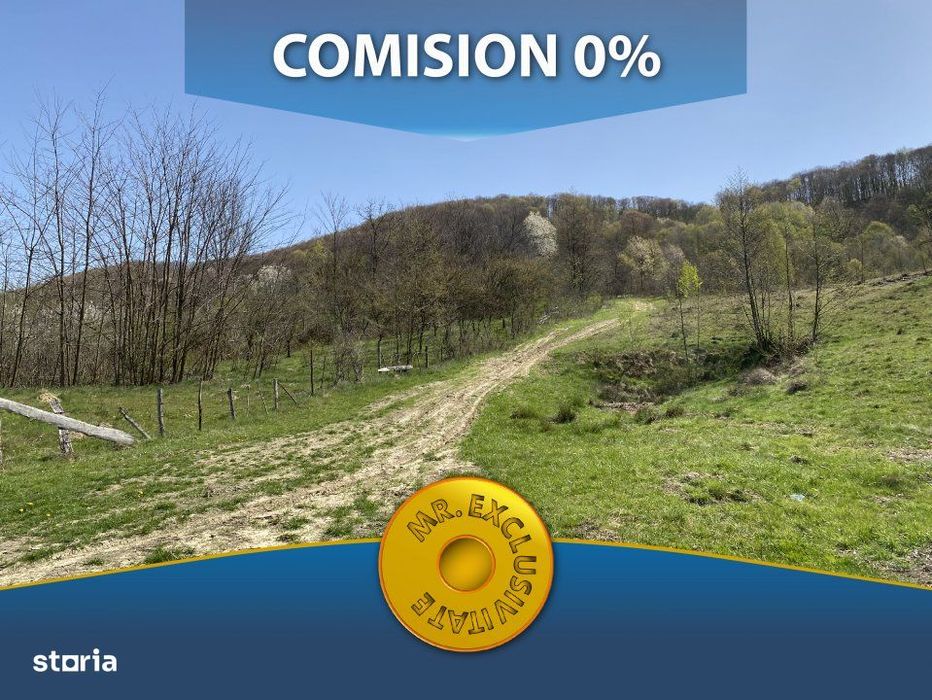 Teren 13.000 mp zona de deal - Aninoasa AG