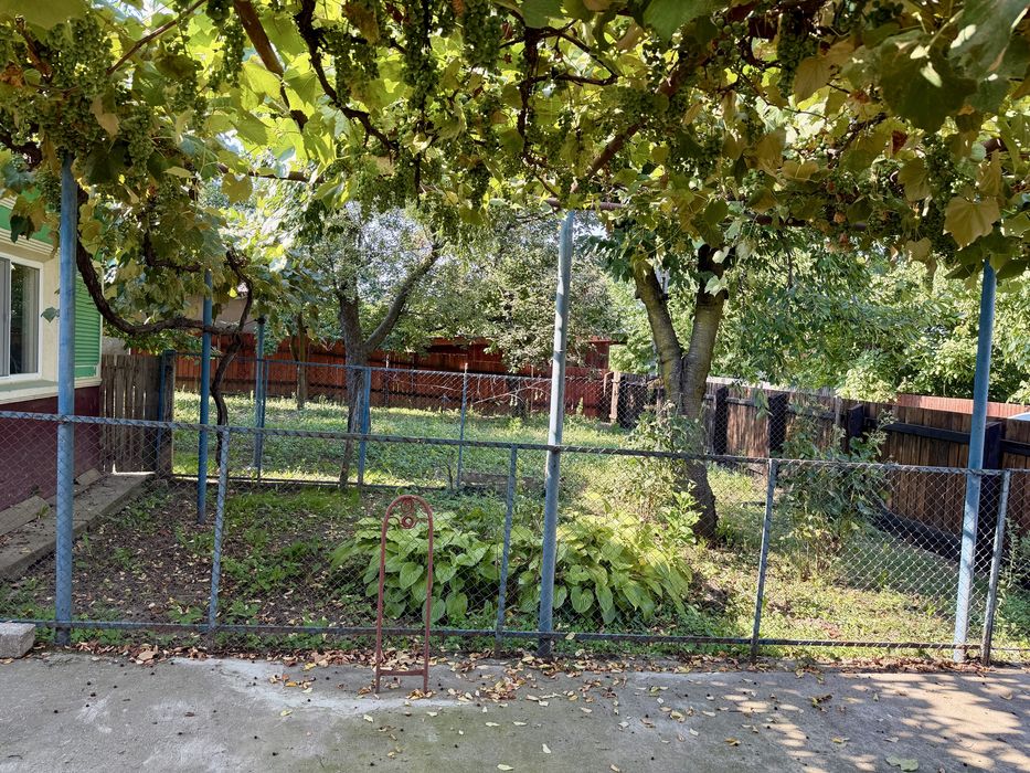 Casa plus teren Filipesti (20km pana in bacău)