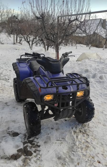 Ateveu de 300cc pe cardan