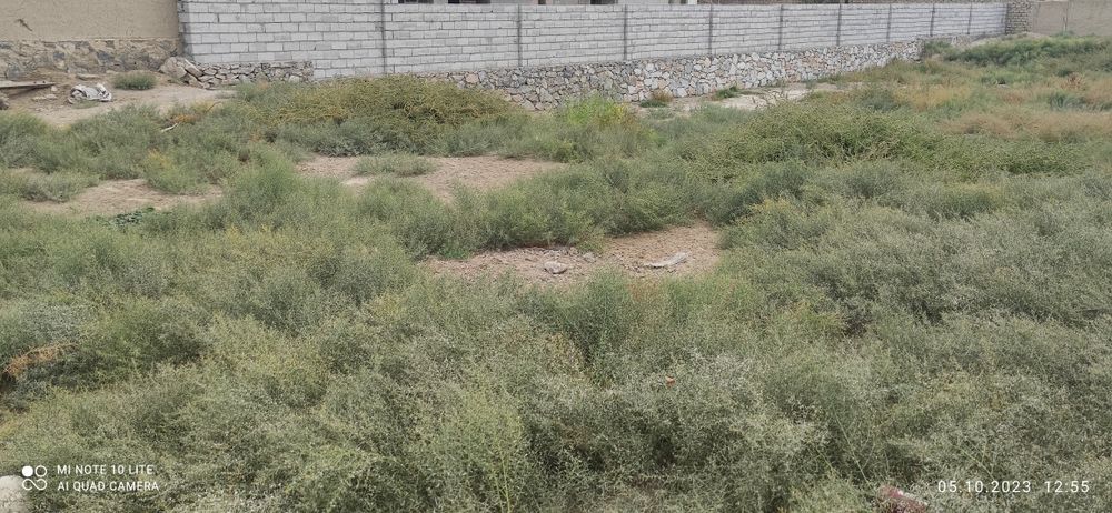 Hovli.Yer uchastka .