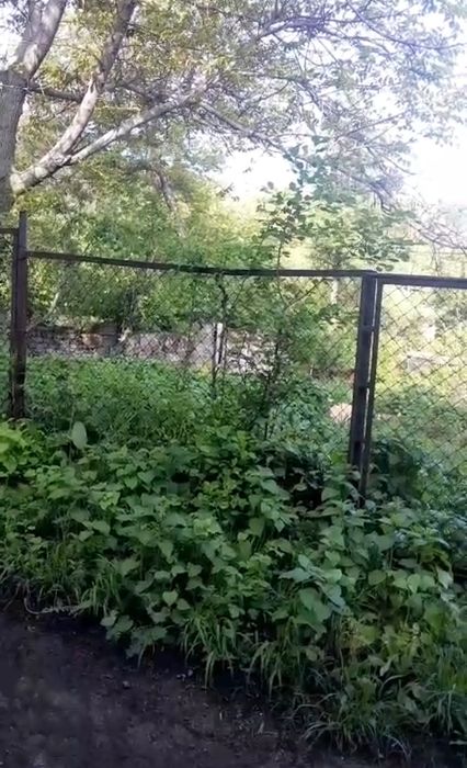 Садоводческий участок
