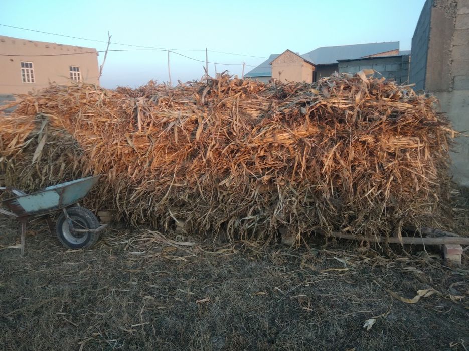 Макка сотилади боглаб куйилган кумкук