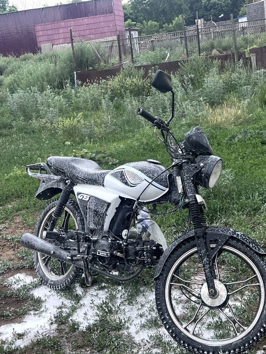 Райсер 110 отличный