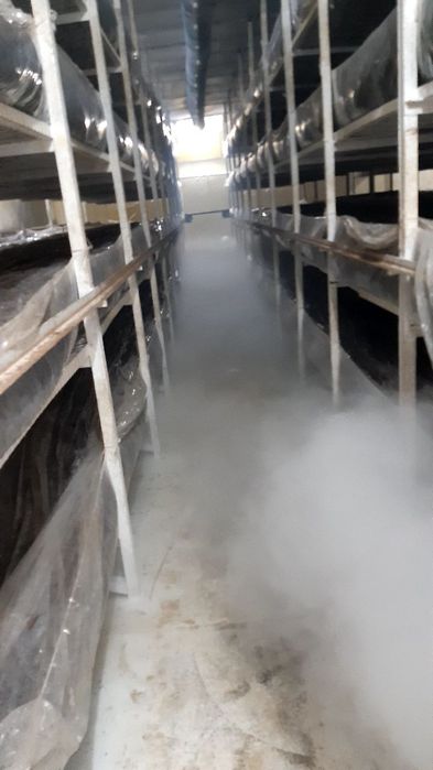 Шампиньоны - Климат контроль