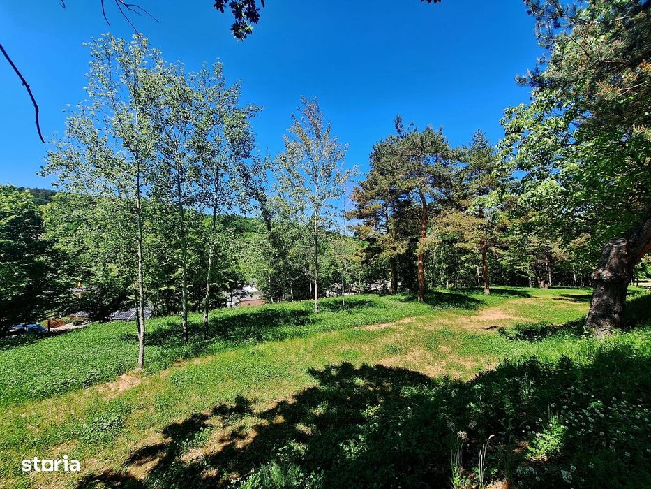 Teren intravilan de vânzare-3600 mp-Cisnadioara!