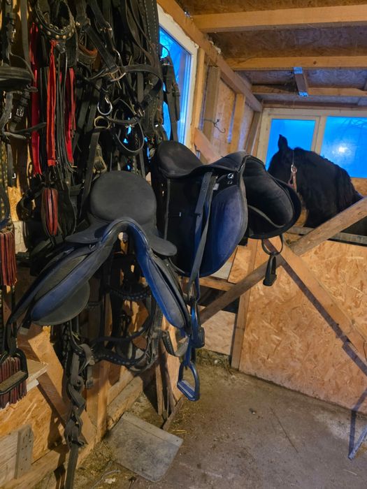 Șa pentru echitatie