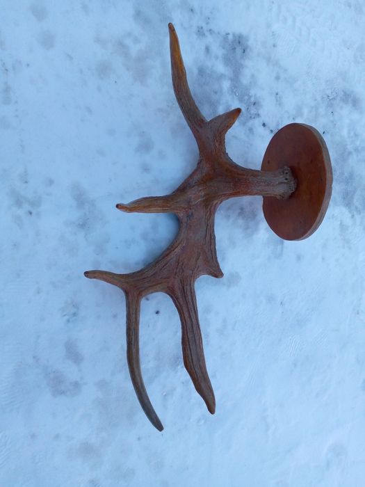 Продам на стену рыбалка