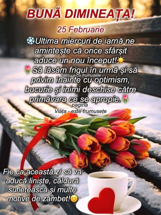 Masa și scaun din beton/jardiniere și faraoni /Lei și cismele