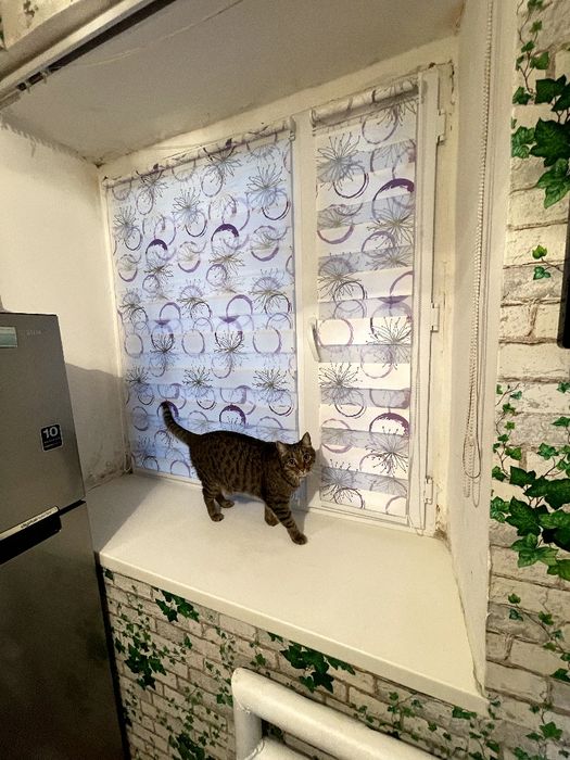 Жалюзи роллшторы