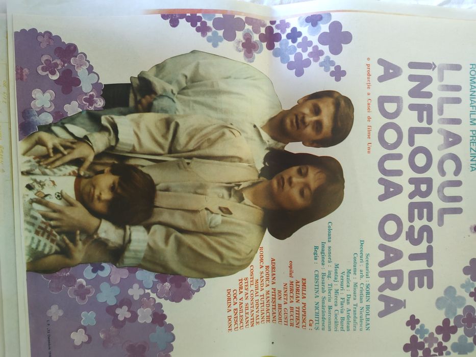 afișe cinema filme românești 200 lei toate