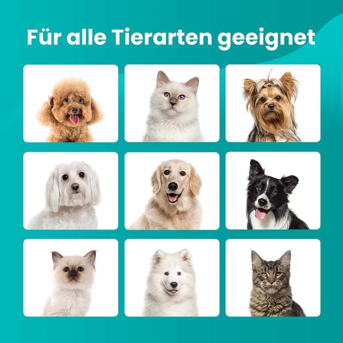 Професионална уред за груминг подстригване прахосмукачка, куче, котка