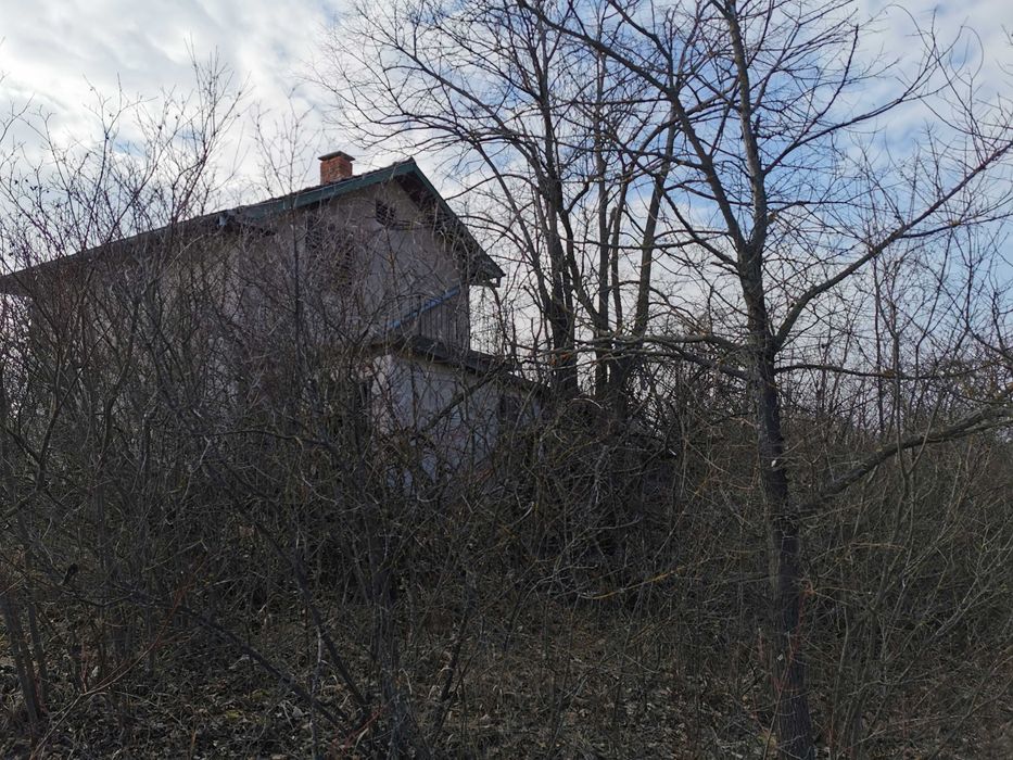 Продава се Земеделски имот в Лом -  кв.м за 2805 €/дка - Снимка #11