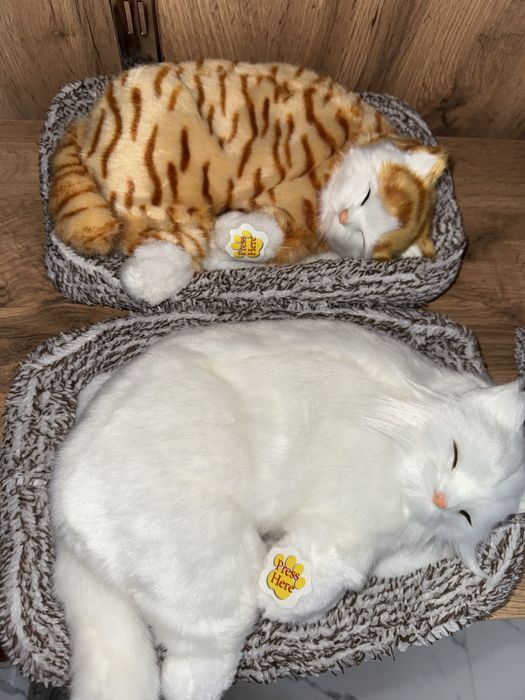 Котики для автомобиля
