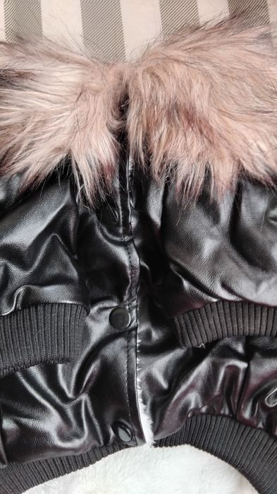 Haina cățel talie mica_medie