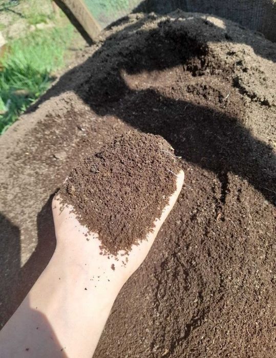 Kaliforniya qizil chuvalchangi va biogumus