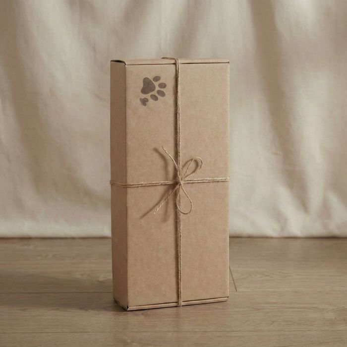 Ковчег за домашни любимци