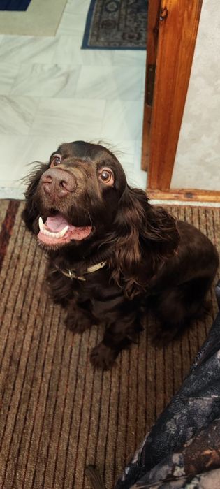 Молодой парень ищет себе подружку