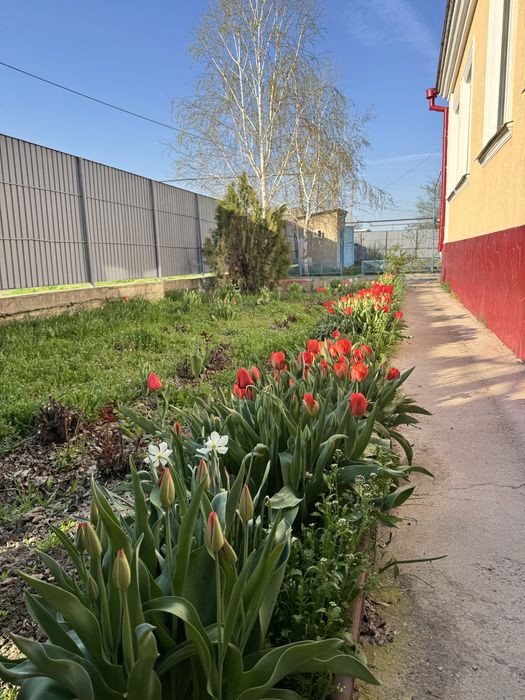 СРОЧНО! Продается дом!