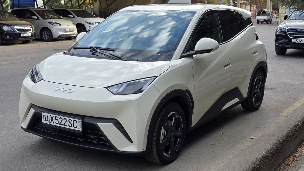 BYD Seagull сотилади