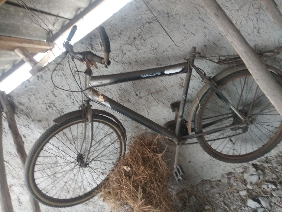 Hpilipps 26 velospet sotiladi xolati ortacha egar olish kk