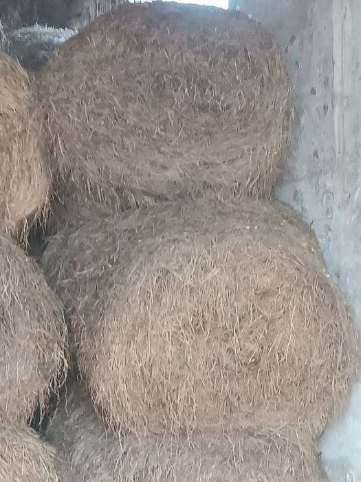 Baloti rotunzi de otava și lucerna