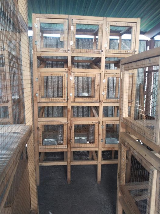 Продам клетки для кроликов