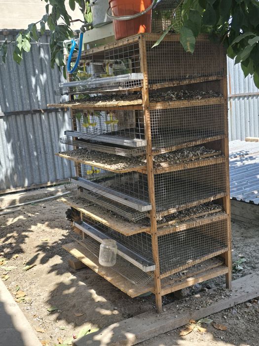 Продаю  клетка для перепелки