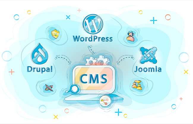 SEO оптимизация, контент-менеджер, копирайтер