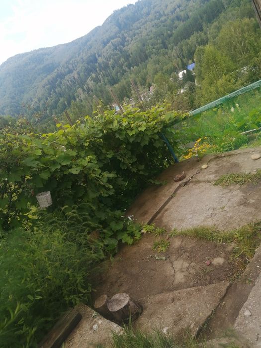 Продам дачу в СО "Казахстан"