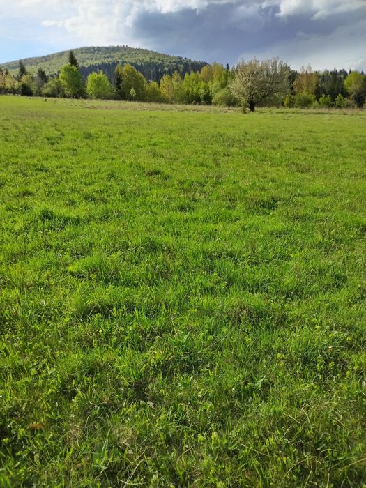 Vînd teren extravilan. Ideal pentru case de vacantă.