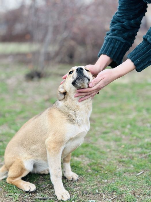 Звоночек девочка ищет семью