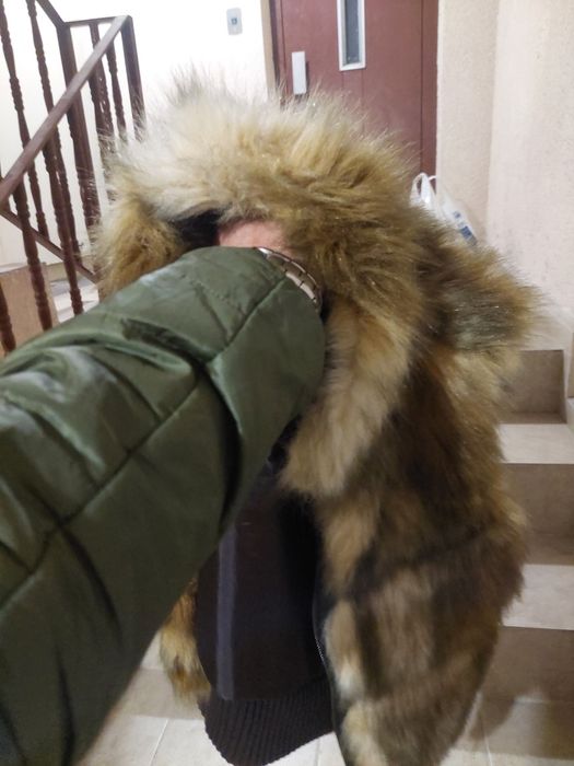 Елек от лисица, добро състояние