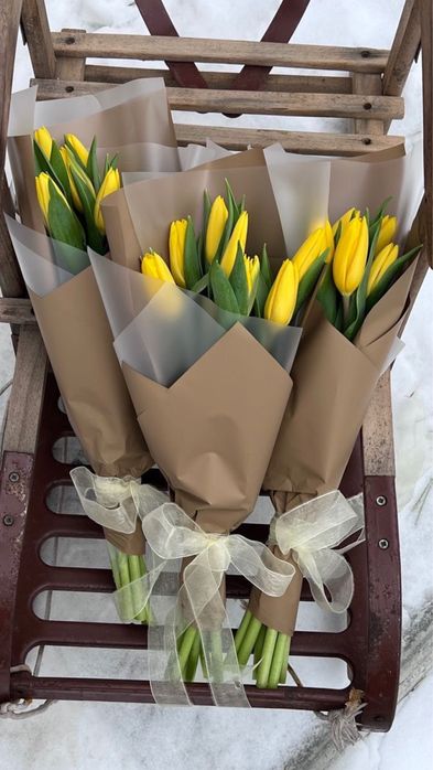 Тюльпаны голландские