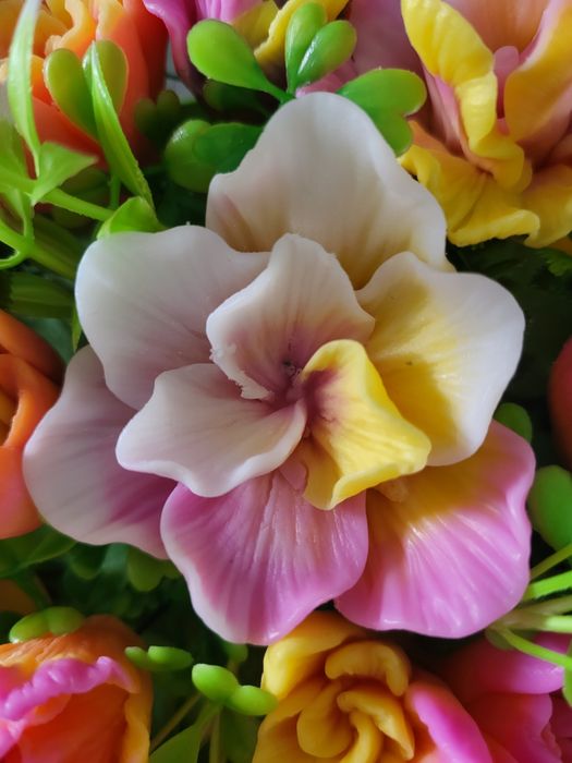 Молд   Гладиолус